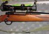 Ruger77-003.2.JPG