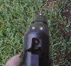 Sig 228 Sights.jpg