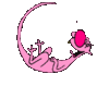 roflcat.gif