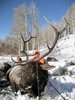 My son with his 5X5 that we got in Oct. 2009 north of Craig, Colorado.