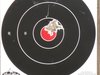 Kimber Ultra Crimson Carry II target with 14 shots - resized.JPG