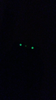 night sites.PNG
