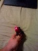 photo(2).jpg
