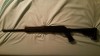 Saiga 12 (2).jpg
