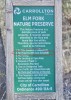 ElmFork.jpg