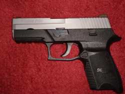 Sig2.jpg