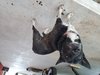 20190321_174320.jpg (3.58 MiB) Viewed 8326 times Somebody had too much fun one morning.